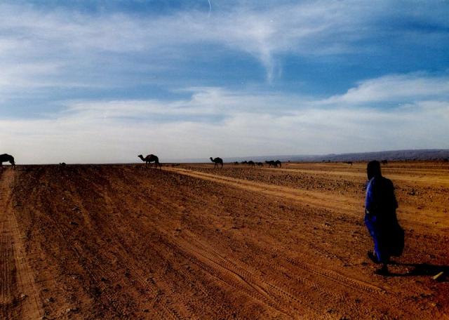 on our way to the edge of the Sahara.jpg